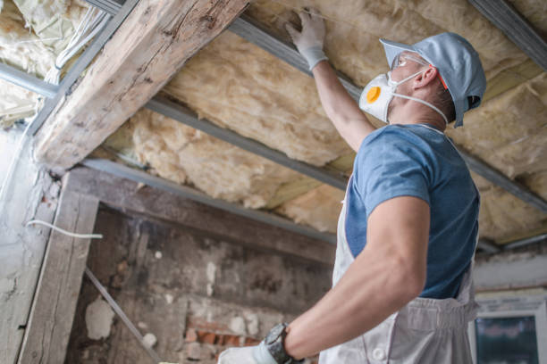 Insulation Inspection Services in Fox Lake, WI